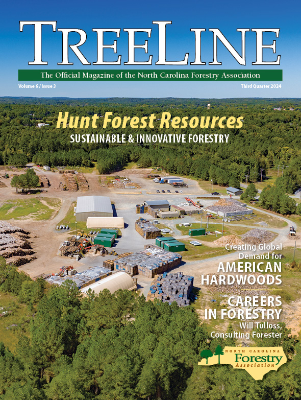 Cover of TreeLine Q3